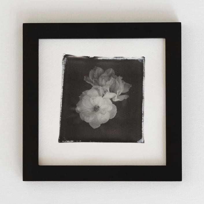 "la vie en rose IV" - Original Mixed Media in black by Kamala Nahas