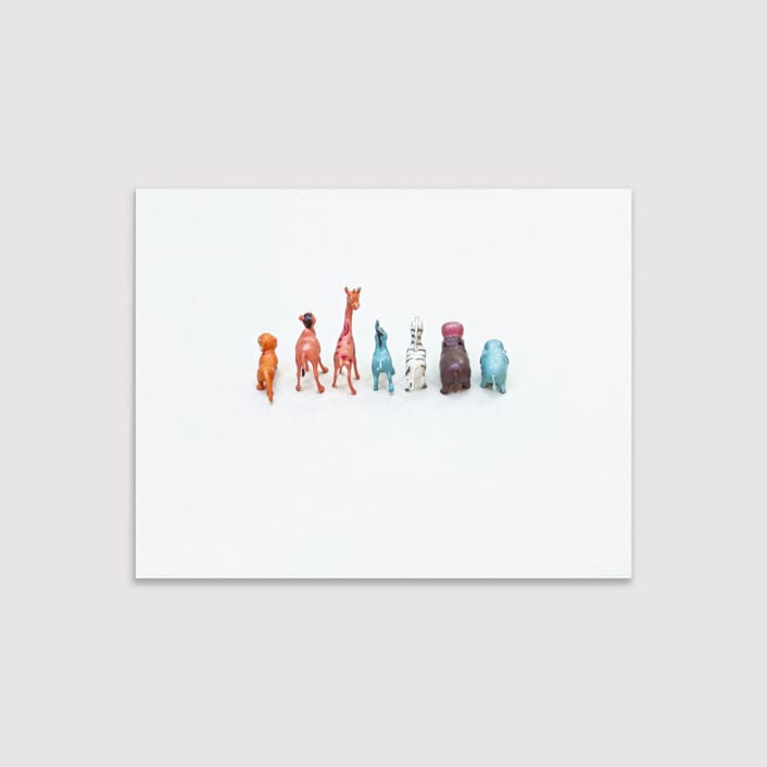 "Best Buddies (canvas)" - Limited Edition Prints - Photography in multicolorassorted-colors by Deborah Chou