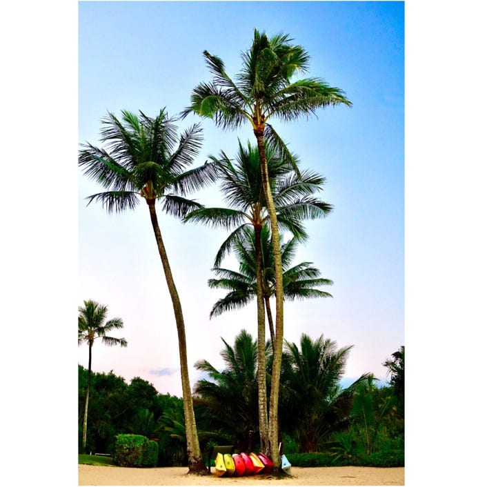 "Tropical State of Mind" - Limited Edition Prints - Photography in green by Sea and Sky