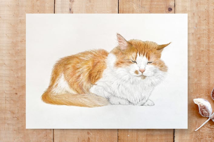 "meow-ditation" - Cards in marmalade by Deborah Chou - Front