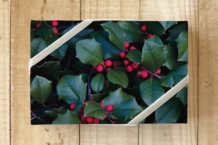 "Nature Celebrating" - Wrapping Paper in jade by Qing Ji - Front