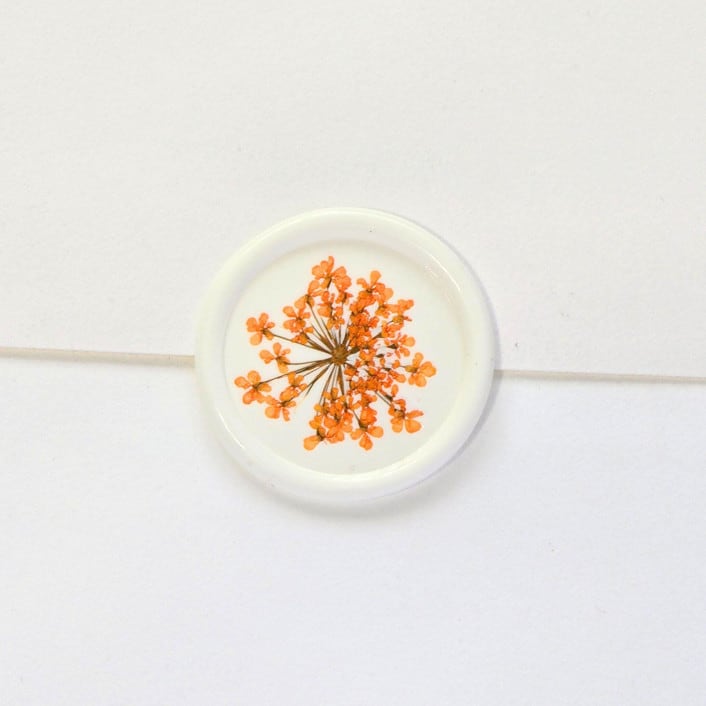 "Queen Anne's Lace- Orange Dried and Pressed Florals on White - Customizable Shape- Set of 25 Wax Seals" - Wax Seals in multicolor by Inkspiringletters