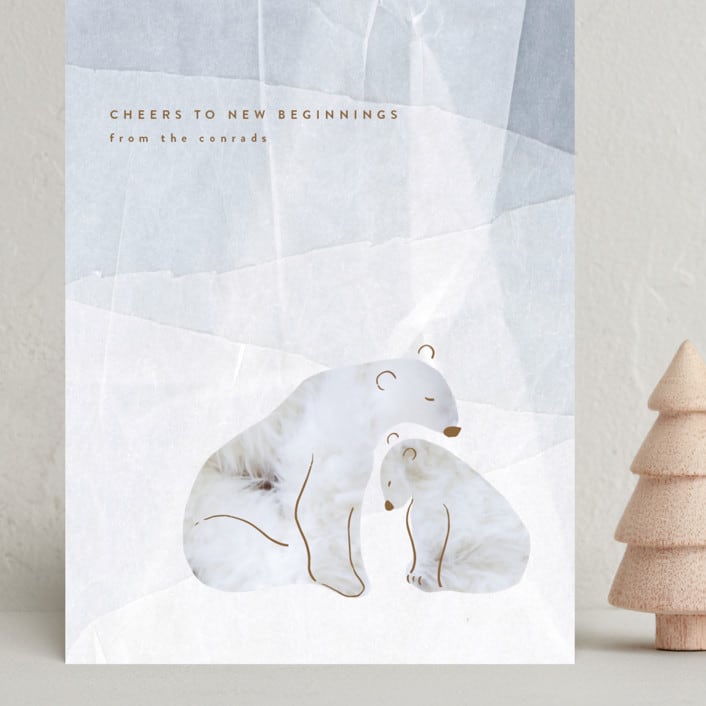 "On Ice" - Holiday Cards in Snow by Tamara Hilje - Front