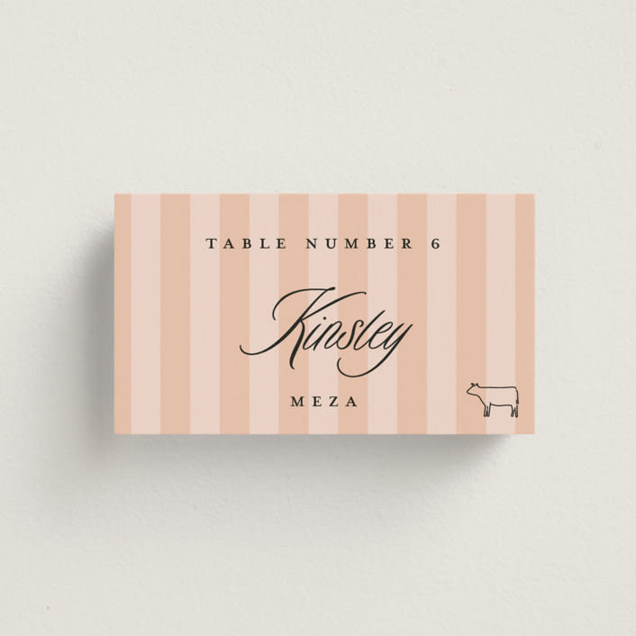 "A Simple Stripe Meal Choice" - Place Cards - Beef in Candy by Susan Zinader - Front with Free Guest Printing