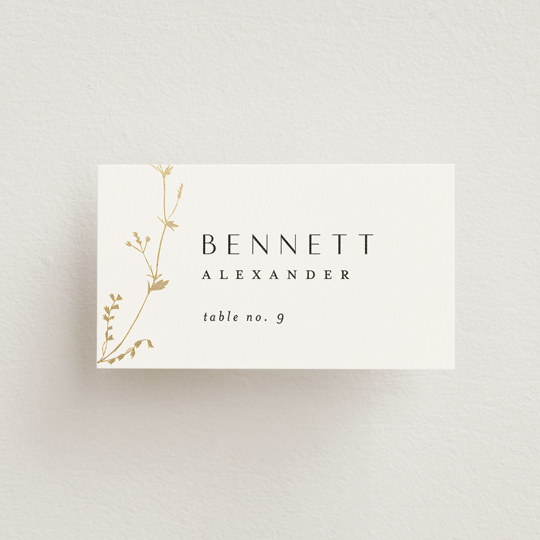 "Vine Wrap" - Place Cards in Cotton by Amy Kross - Front with Free Guest Printing