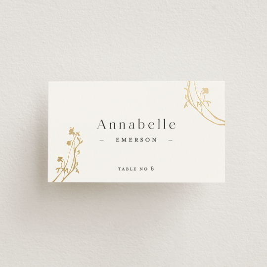 "Floral Enlace" - Place Cards in Blanc by Pati Cascino - Front with Free Guest Printing