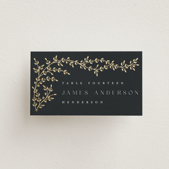 "Beautiful Chuppah" - Place Cards in Midnight by Ana de Sousa - Front with Free Guest Printing