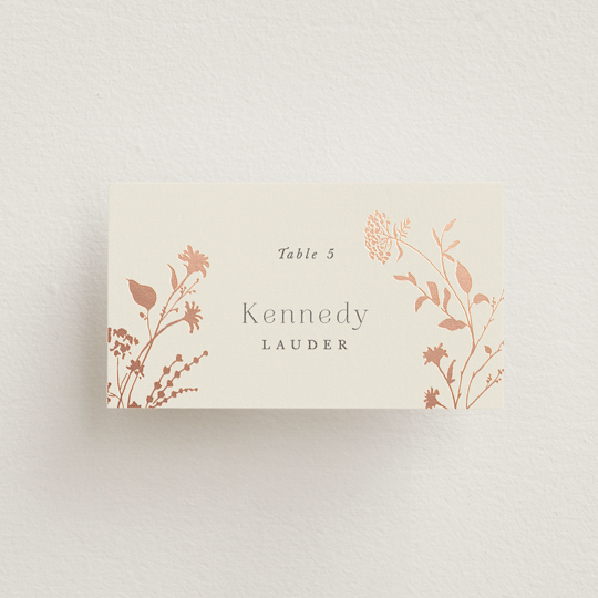 "Queen Anne's Lace" - Place Cards in Creme Brulee by Jennifer Wick - Front with Free Guest Printing