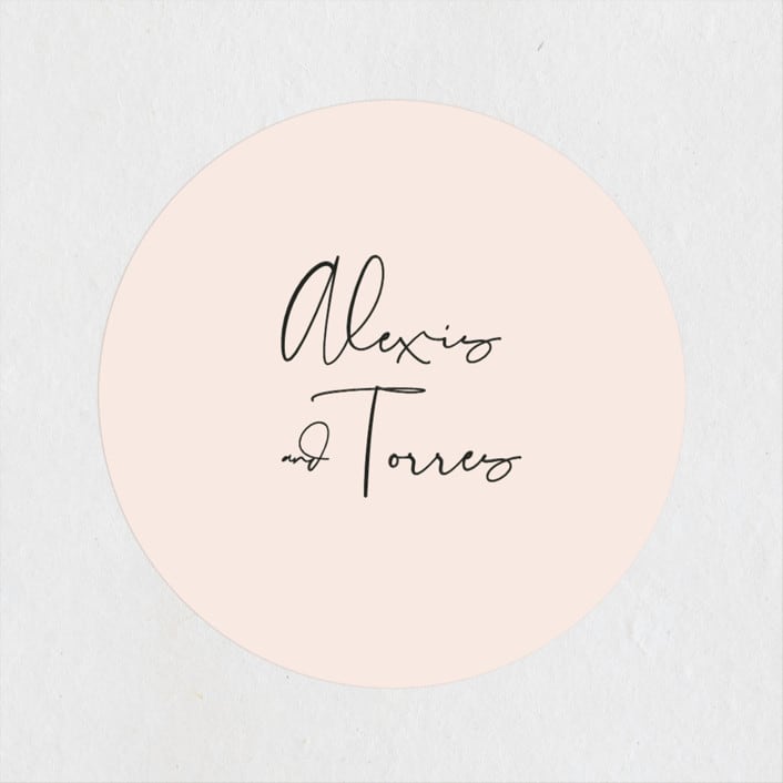 "Just the Two of Us" - Rehearsal Dinner Favor Stickers in Blush by Jennifer Wick - Front