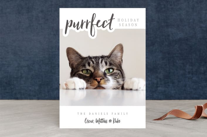 "A Purrfect Christmas" - Retired Holiday Cards in Slate by Stacy Cooke - Front