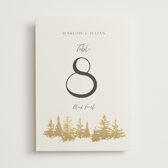 "Vista" - Table Numbers in Fallen Snow by Robin Ott - Front