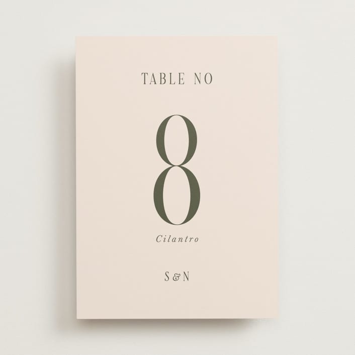 "Fero" - Table Numbers in Blush by Pati Cascino - Front