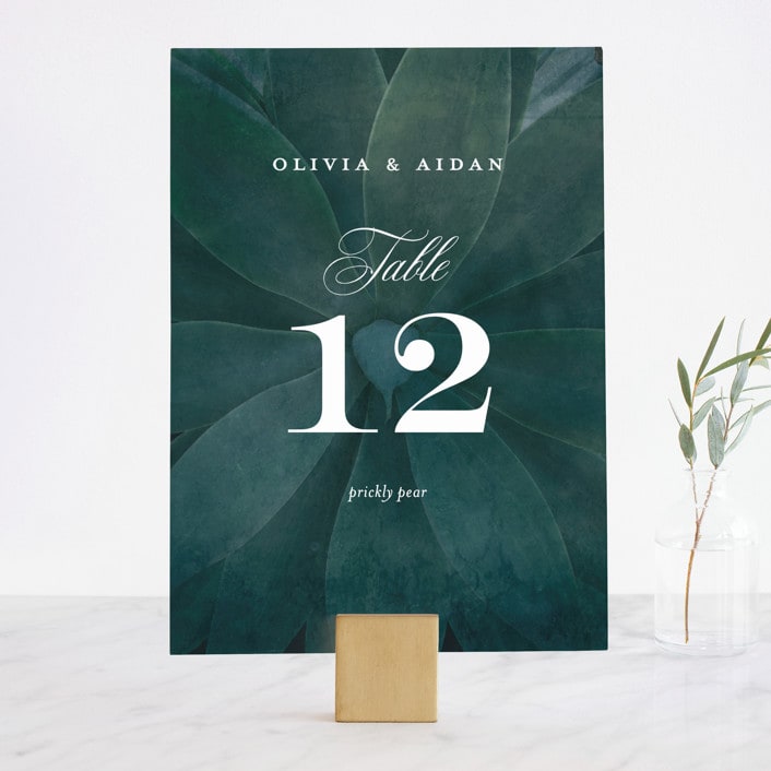 "Succulent Center" - Table Numbers in Cactus by Jessica Williams - Front