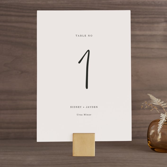 "stylist script" - Table Numbers in Ivory by Cass Loh - Front