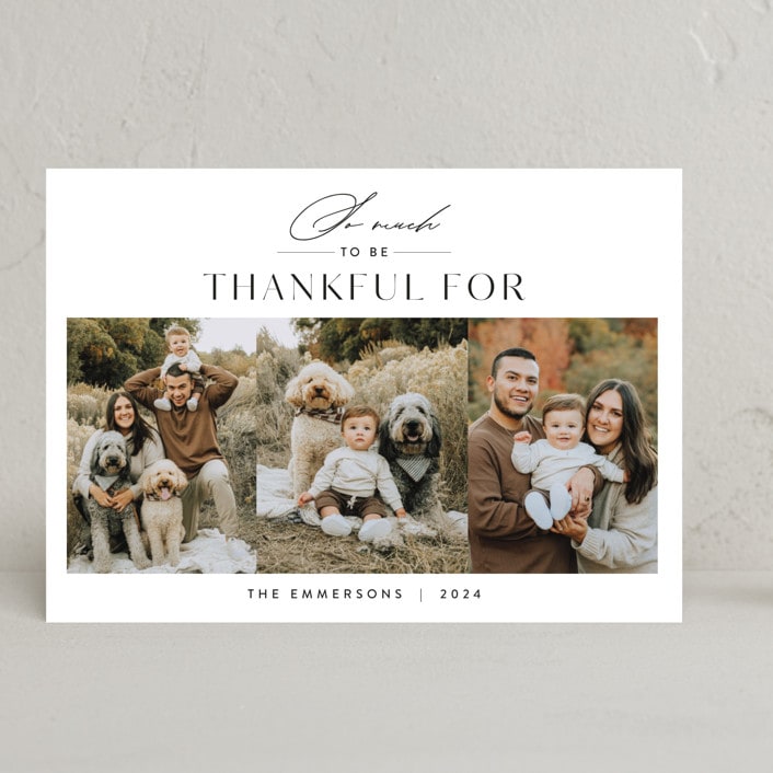 "So Thankful Trio" - Thanksgiving Cards in Snow by Nicoletta Savod - Front