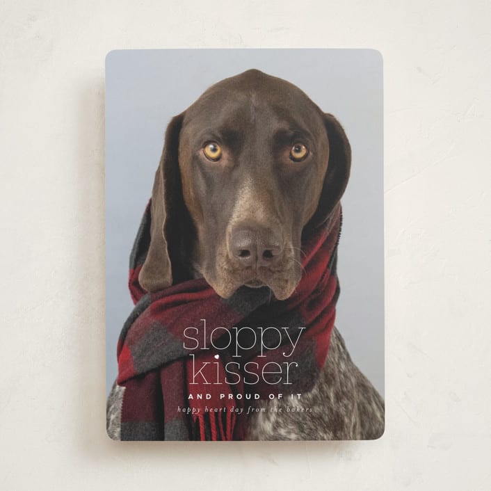 "sloppy kisser" - Valentine's Day Cards in Cream by Laura Hamm - Front