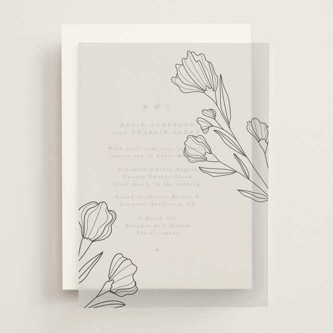 "Bouvardia" - Vellum Overlays in Midnight by Deynaaz Daraei - Front