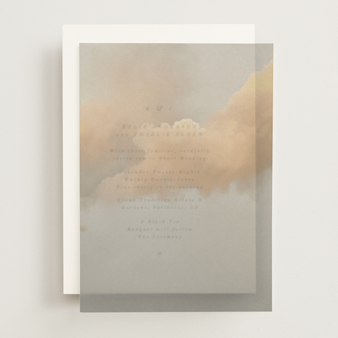 "Softness" - Vellum Overlays in Fog by Christa Kimble - Front