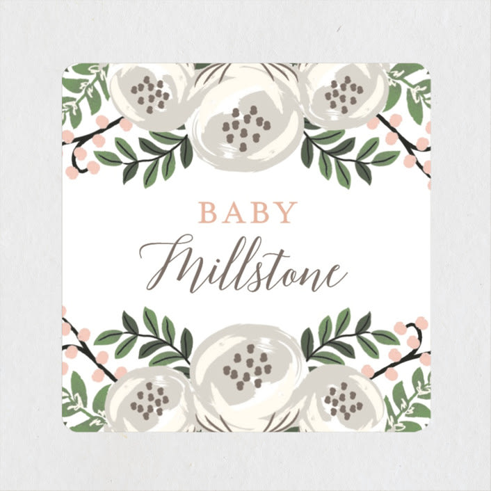 "Storybook Stack" - Baby Shower Stickers in Peony by Lehan Veenker - Close-Up