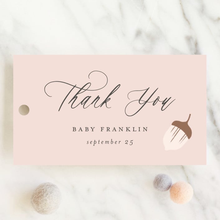 "Fabled Storybook" - Baby Shower Favor Tags in Auburn by Paper Raven Co. - Front