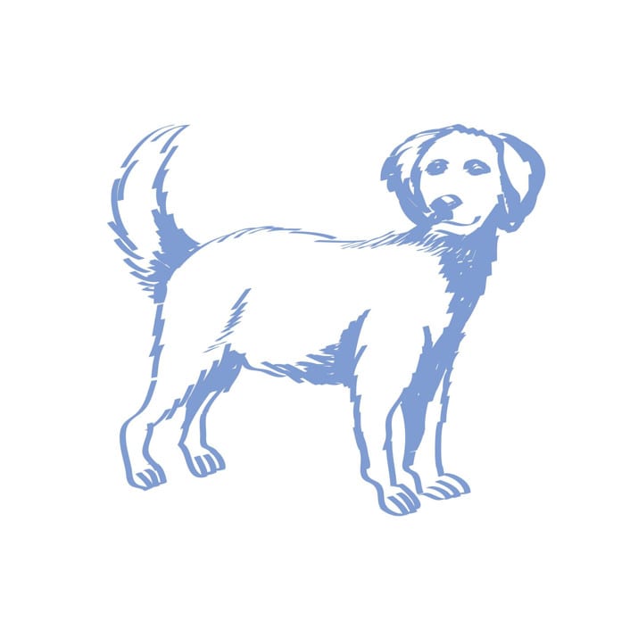 "Custom Dog Line Drawing Icon" - Commissioned Design Element in blue by Teju Reval
