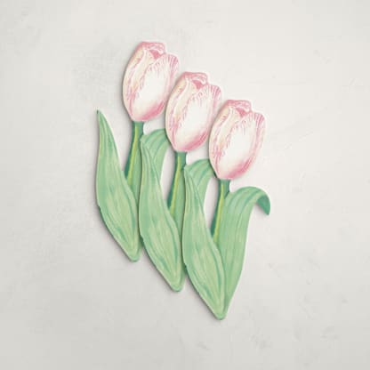 Dutch Bloom (set of 12)