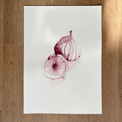 Purple Figs Fruit 03