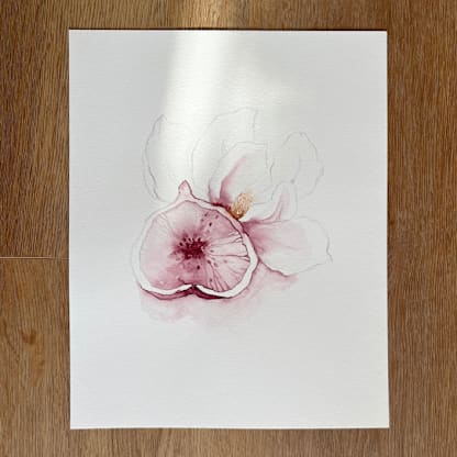 Purple Figs Fruit 02