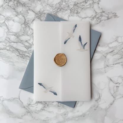 Coastal Vellum Wrap with Seagulls (10 Pack)