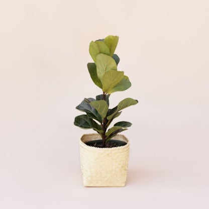All Natural Storage Basket