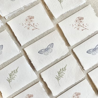 Nature Set // Deckled Edge Cards