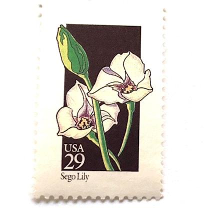 Sego Lily Postage Stamps | American Wildflower Series | White Flower | Botanical | Vintage Unused USPS Postage 29c | Pack of 10