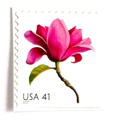 Magnolia Postage Stamps | Beautiful Blooms Series | Pink Flowers | Vintage Unused USPS Postage 41c | Pack of 10