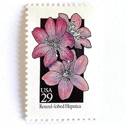 Round-Lobed Hepatica Postage Stamps | American Wildflower Series | Purple Flower | Botanical | Vintage Unused USPS Postage 29c | Pack of 10