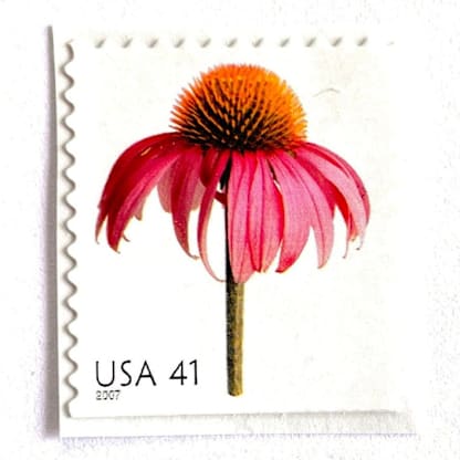 Coneflower Postage Stamps | Beautiful Blooms Series | Echinacea | Pink Flowers | Vintage Unused USPS Postage 41c | Pack of 10