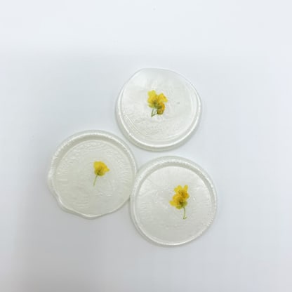 Pressed Flower Ivory Wax Seal Yellow Flowers Set Of 6
