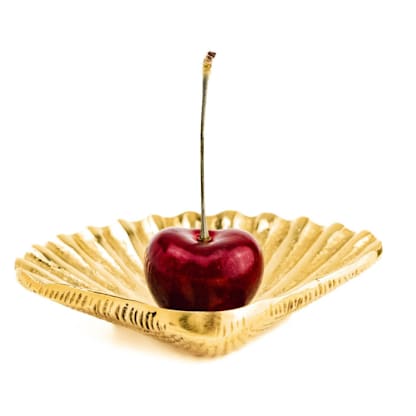 Shell Dish