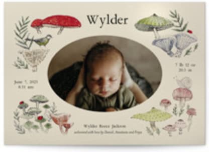 Woodland wonder
