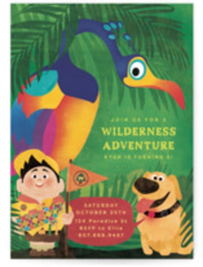 Disney and Pixar's Up Wilderness Adventure