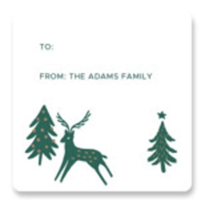 Holiday Folk Pattern