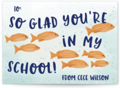 Fish School