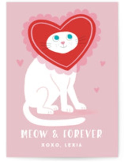 Meow and Forever