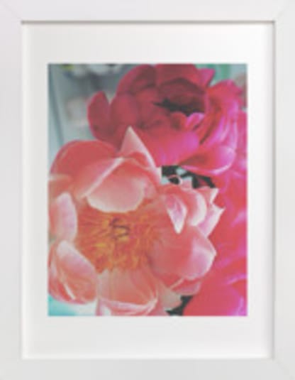 Vintage Peonies