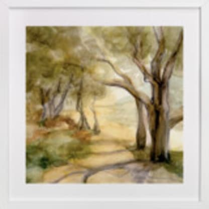 Dreamy Olive Trees