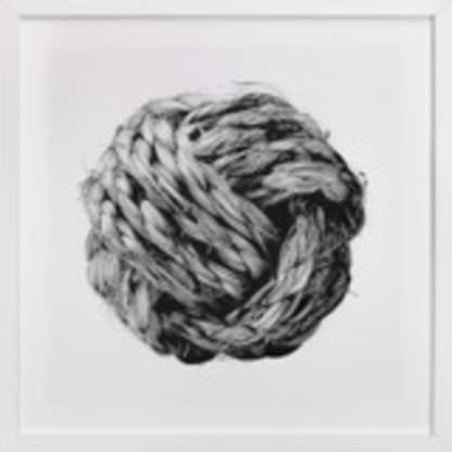 Monkey Fist
