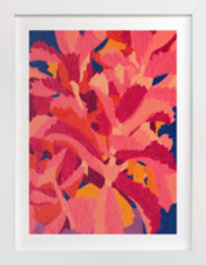 Kalanchoe