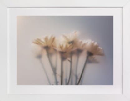 Hazy Daisy