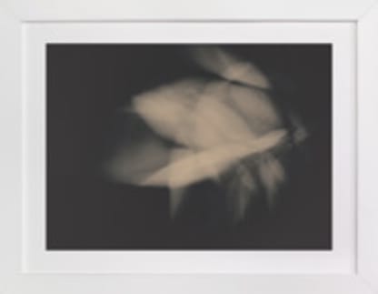 Flower Dance II