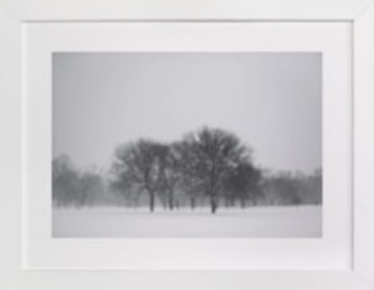 Seeing Snow