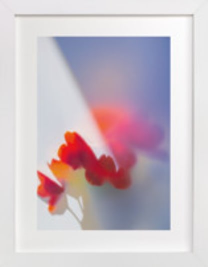 Flora Prism